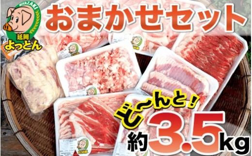 y{茧szƂ ܂Zbg N003-YD0248