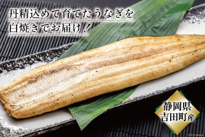 うなぎ 国産 定期便 白焼 150g以上 2尾 6回 総計12尾 タレ 山椒 付き [大井川うなぎ 静岡県 吉田町 22424564] 鰻 ウナギ unagi 白焼き 鰻白焼き 真空パック 冷凍 静岡県産
