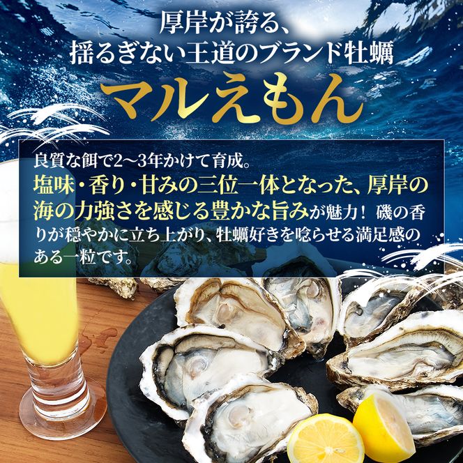 4か月 定期便 北海道 厚岸産 殻付牡蠣の食べ比べセット！（生食用）  牡蠣 カキ かき 生食 生食用 生牡蠣  食べ比べ 魚貝類 