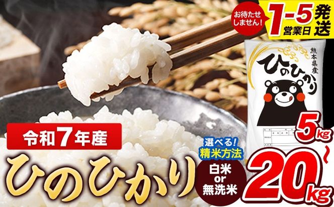 令和7年産 【総合ランキング1位獲得】 ひのひかり 白米 or 無洗米