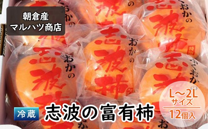 柿 冷蔵 志波の富有柿 L～2Lサイズ×12個入 マルハツ商店 配送不可：離島 果物類 かき 