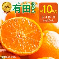 【2026年12月発送】秀品 有田みかん 和歌山県産 S～Lサイズ 大きさお任せ  約10kg_DZ6200_12