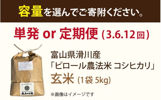 25年10月中旬以降順次発送　富山県滑川産 弱アルカリ性米「ピロール農法米 コシヒカリ」与文のお米（玄米5kg）産地直送 袋  おにぎり お米 白米 国産 ご飯 ごはん 富山県 滑川市 アグリめぐみ A-050001 アトピー 米
