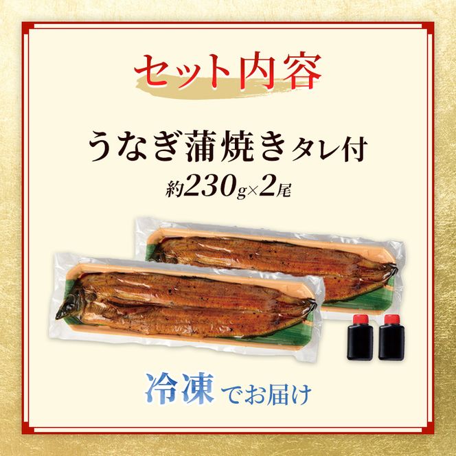 国産うなぎ 特大 蒲焼き 約230g前後 2尾 国産 うなぎ ウナギ 鰻 国産鰻 うなぎの蒲焼き ウナギの蒲焼 国産うなぎ蒲焼 国産鰻の蒲焼 魚 お魚 魚介 魚介類 海鮮 海鮮セット 惣菜 職人 手焼き ギフト 贈り物 プレゼント 福井 福井県 若狭町