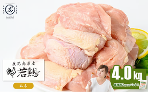 鹿児島県産若鶏ムネ肉 計4kg(2kg×2P) a1-168