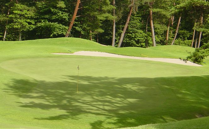 パインツリーゴルフクラブ 1名様土日祝日プレー無料優待券（昼食付） ゴルフ場 利用券 優待チケット 丘陵 林間 コース 松林 自然 戦略的 スポーツ 趣味 ビジネス 社会人 