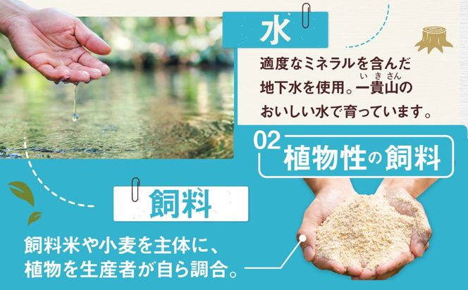 一貴山豚 BBQスペアリブ 計500g(250g×2p) 糸島市 / いきさん牧場 豚肉 冷凍[AGB048] 豚肉 豚 ブランド豚 一貴山豚 ポーク スペアリブ 肉 国産 味付け BBQ