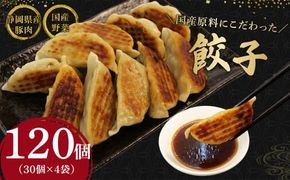 餃子 120個 野菜 豚肉 冷凍 餃子 大きめ ぎょうざ ギョウザ おつまみ 惣菜 中華 惣菜 業務用 おかず ビール ランキング 弁当 簡単調理