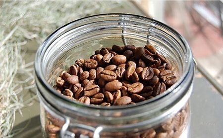 【全12回定期便】アイスコーヒー ゲイシャ種 3本 セット 糸島市 / Petani coffee [ALC023] アイス コーヒー エチオピア ギフト 贈答 プレゼント