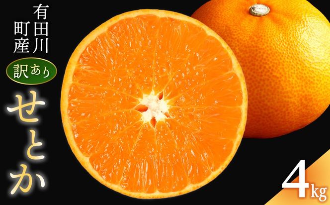 せとか みかんの大トロ 4kg 訳あり ブランド 和歌山 有田みかん 農家直送 オレンジ フルーツ 果物 CE044