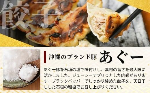 ≪餃子≫ あぐー豚 ぎょうざ 20個【 ブランド豚 アグー豚 ぎょうざ 餃子 焼き餃子 水餃子 焼餃子 沖縄県 石垣市 】GS-3