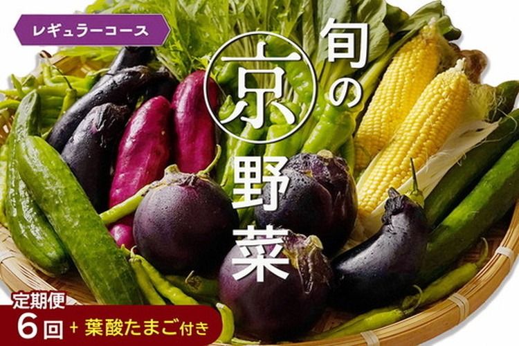 [6回定期便]旬の京野菜 毎月お届けレギュラーコース(全6回)&『葉酸たまご』6個入り×1パック×3回分付≪定期便 野菜 ふるさと納税野菜≫ ※沖縄・離島・諸島へのお届け不可