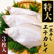 【ふるさと納税】特大エテカレイ 一夜干し 3枚 魚貝類 魚 地魚 一夜干し エテカレイ カレイ 大きめ 干物 ひもの セット 冷凍 個包装