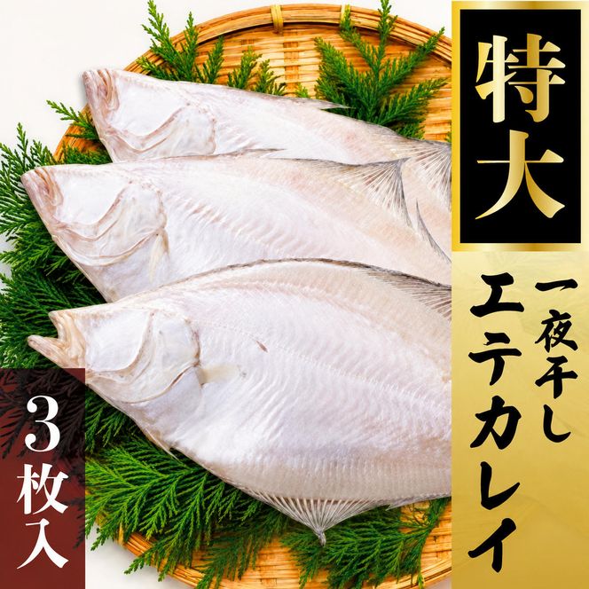 【ふるさと納税】特大エテカレイ 一夜干し 3枚 魚貝類 魚 地魚 一夜干し エテカレイ カレイ 大きめ 干物 ひもの セット 冷凍 個包装