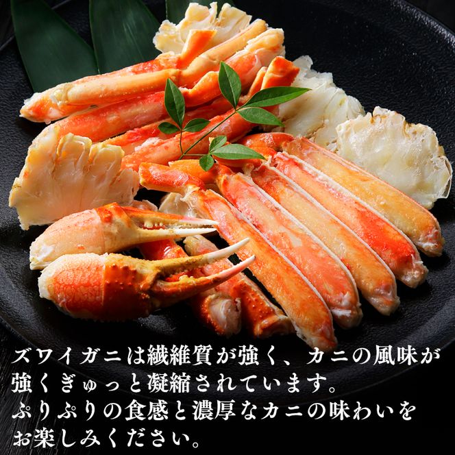 ボイル 本ずわいがに 2肩 500g × 1 カジマ ずわい蟹 ズワイガニ ずわいがに かに カニ 蟹