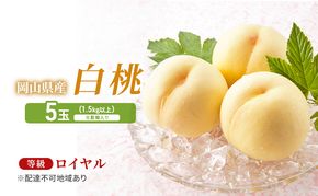 桃 2026年 先行予約 岡山白桃 5玉（1.5kg以上） 等級：ロイヤル 化粧箱入り もも モモ 岡山県産 国産 フルーツ 果物 セット ギフト