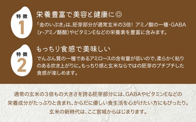 玄米 パックご飯 宮城県産「 金のいぶき 」発芽玄米 パック ごはん ( 150g × 12個 )  金のおいしさ! ＜ 宮城のブランド玄米 ＞[ JA加美よつば農業協同組合 宮城県 加美町 yo-pg-kin-12s] レトルト ごはん ご飯 レトルトごはん レンジ レンチン かんたん パックライス ライス 米 簡単 お手軽 アウトドア キャンプ 備蓄 非常食セット 非常食 防災グッズ