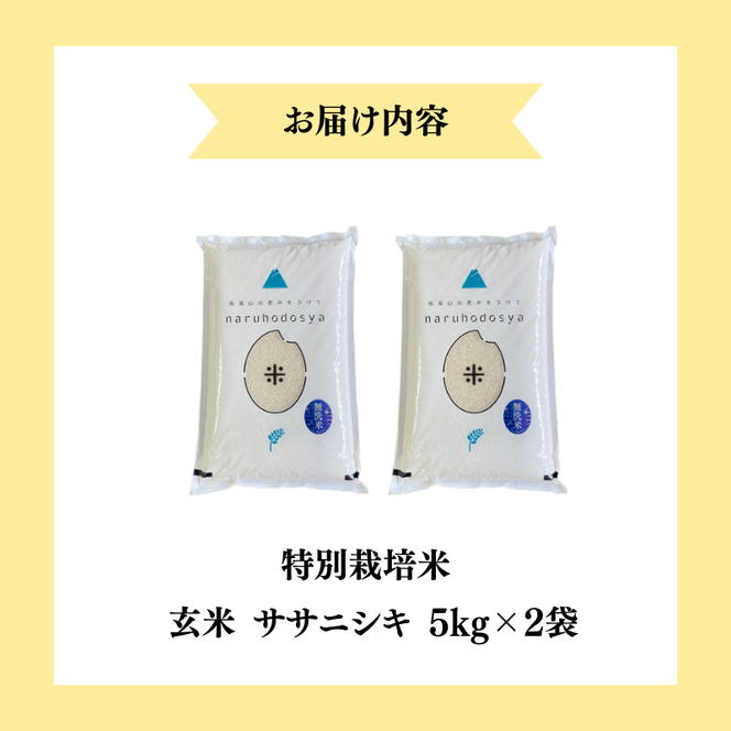【令和7年産】栽培期間中 農薬・化学肥料不使用 【玄米】 特別栽培米ササニシキ5kg×2