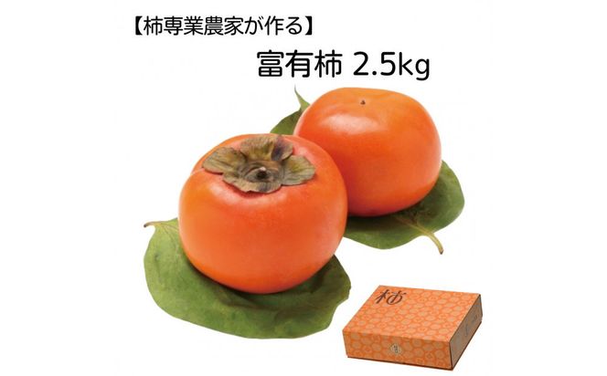 【柿専業の農家が作る】出雲産富有柿　2.5kg【11月下旬以降お届け】 322032_BK007
