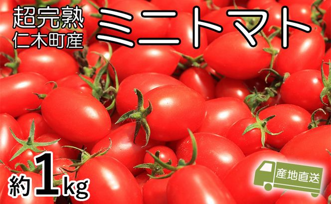 8月発送開始[先行受付] 超完熟ミニトマト【アイコ】1kg 栽培期間中 農薬・除草剤不使用 サイズ混載 トマト ミニトマト アイコ 野菜 北海道 仁木町 [アイコファーム] 