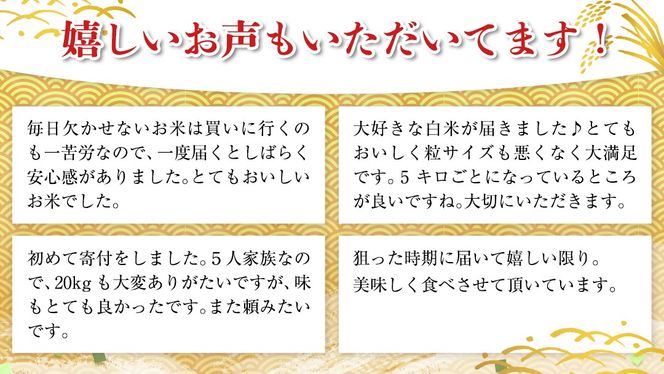 【 1月下旬発送 / 数量限定 】新米 茨城県産 2種 食べ比べ 精米 10kg (5kg×2袋） 令和6年産 こしひかり 米 コメ こめ 単一米 限定 茨城県産 国産 美味しい お米 おこめ おコメ [CL58-NT]