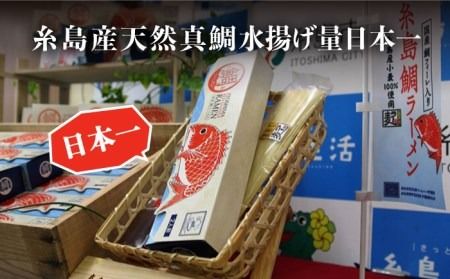 【全6回定期便】 糸島 鯛 ラーメン 2人前 × 2セット 糸島市 / ファームパーク伊都国 [AWC014]