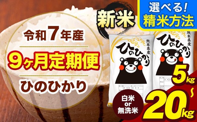新米 令和7年産 【9ヶ月定期便】 ひのひかり 選べる 精米方法 白米 無洗米 5kg 10kg 15kg 20kg《お申込み翌月から出荷》熊本県 大津町 国産 熊本県産 ヒノヒカリ こめ お米---hn7tei_112500_5kg_mo9_oz_h---