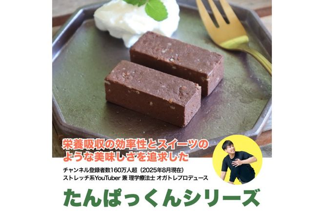 3回 定期便 KGGプロテインバー ちょこ味 28本入 ×3か月 合計84本 [KESENNUMA GOOD GOODS 宮城県 気仙沼市 20564488] オガトレ プロテイン プロテインバー 人工甘味料不使用 グルテンフリー 高タンパク スイーツ