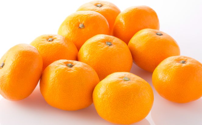 【訳あり】みかん 家庭用 (3S～3Lサイズ) 約10kg 八代市産 熊本 ご家庭用 蜜柑 ミカン 柑橘 くだもの 果物 フルーツ デザート