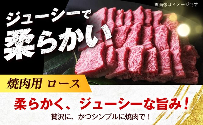 博多和牛 牛肉 焼肉 ロース 500g《築上町》【肉のくまもと屋】[ABEZ074]