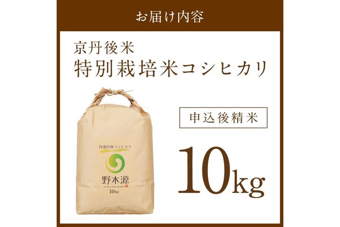 2026年産 京丹後米 特別栽培米コシヒカリ 10kg（白米） 注文後精米 米 京丹後 特別栽培米 農家直送 米 こめ ふるさと 納税 コシヒカリ 精米 ふるさと 納税 こしひかり ふるさと 納税 米 精米 京都産 京丹後 野木源　NO00034