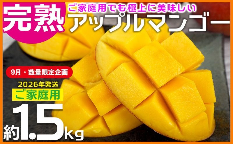 [9月・数量限定企画][2026年発送]ご家庭用でも極上に美味しい完熟アップルマンゴー約1.5kg 農園直送! 家庭用 先行予約 沖縄 甘味 糖度 濃厚 美味しい お土産 おいしい ふるさと納税 とろける甘さ 香り アーウィン 果汁 送料無料 箱入り トロピカル 普段使い 自分用 ご褒美