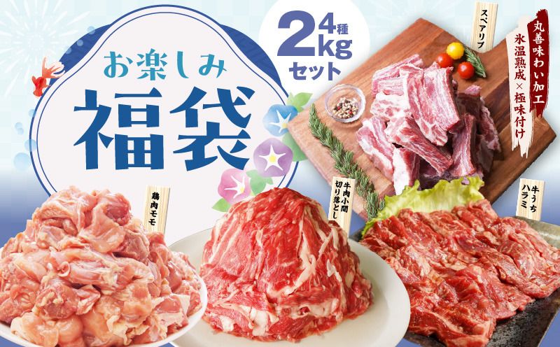 mrz0090 [お楽しみ]夏の福袋 4種 2kgセット(牛肉 切り落とし/牛ハラミ/豚肉 スペアリブ/鶏肉)[氷温熟成×極味付け 焼肉 焼くだけ 食べ比べ ふくぶくろ お楽しみ 簡単調理 期間限定]