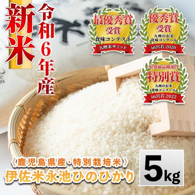 Z7-01 令和6年産 新米 特別栽培米 永池ひのひかり(5kg)鹿児島でも極良食味のお米が出来る永池地区で作ったお米！九州米サミット食味コンテスト最優秀賞2回受賞【エコファーム永池】