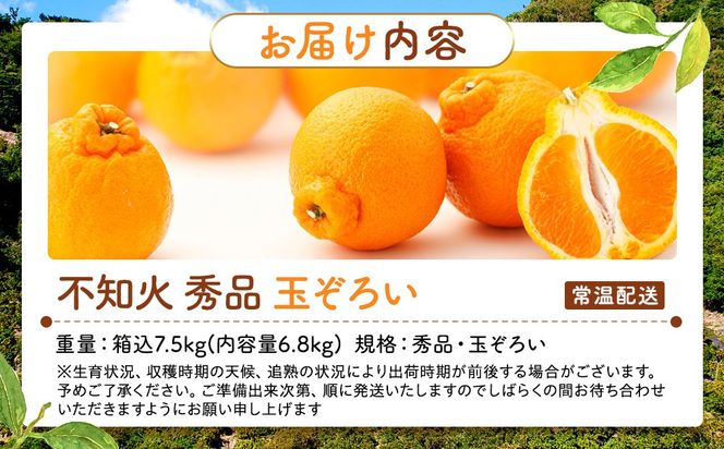 不知火 (しらぬい) 秀品 玉ぞろい 箱込 7.5kg (内容量約6.8kg)  和歌山県産 産地直送［みかんの会］ AX136