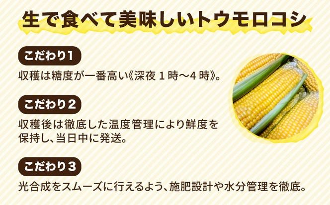 【先行予約】糸島 トウモロコシ 『もきっこ』 黄 （10本前後 ）【2025年6月下旬以降順次発送】 《糸島》 【内田農業】 [AZH001]