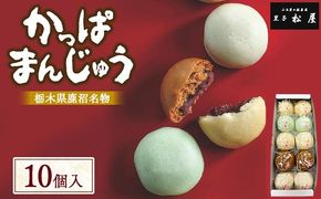 かっぱまんじゅう ＜10個＞ 【かぬまブランド認定】 | お菓子 和菓子 菓子 ギフト お土産 個包装 まんじゅう 饅頭 詰合 詰め合わせ 黒子松屋 ※離島への配送不可
