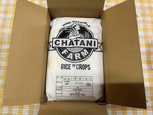 【新米】令和8年産　近江米　コシヒカリ 白米【5kg×1袋】【V011W2】（滋賀県　近江八幡市）