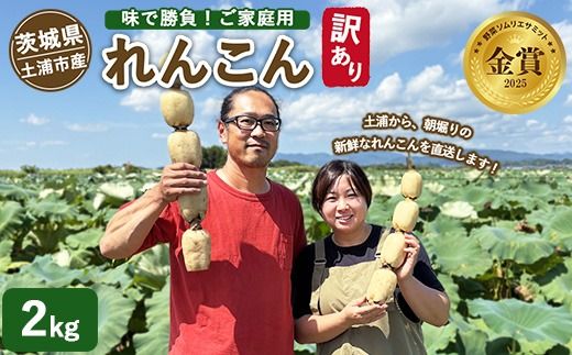 【訳あり】土浦市産 れんこん 2㎏　味で勝負！タップリ大満足！ すずき蓮根農園のご家庭用れんこん「竹 2キロ」 ｜ 産地直送 茨城県 レンコン 蓮根 野菜 シャキシャキ ※離島への配送不可 ※2026年1月上旬頃より順次発送予定