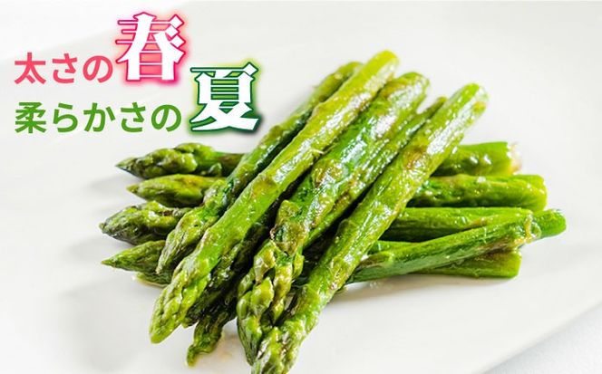 【5回定期便】【星のアスパラ】春＆夏 の グリーン アスパラガス 約1kg / アスパラ 春野菜 野菜 / 南島原市 / ほしのYA[SEY017]