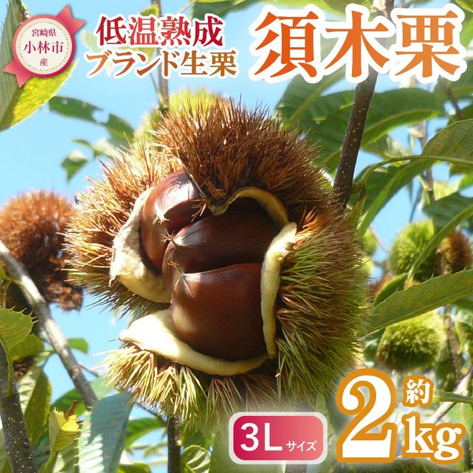 y{茧юszyԁEʌIzyቷnzuhIu{،Iv3LTCY 2kgxiI } I n ʕ t[c  H {j