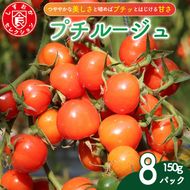 ミニ トマト プチルージュ 150g × 8パック 野菜 やさい 新鮮 旬の野菜 産地直送 高糖度 甘い プチ フルーツ ソース ジュース ケチャップ に 静岡県 藤枝市 