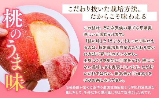 ◆2026年夏発送◆暁星～産直・桃・約5kg～ ※離島への配送不可 ※2026年7月上旬～7月下旬頃に順次発送予定 ｜ 先行予約 予約 数量限定 桃 もも モモ 果物 くだもの フルーツ 詰め合わせ 福島 ふくしま