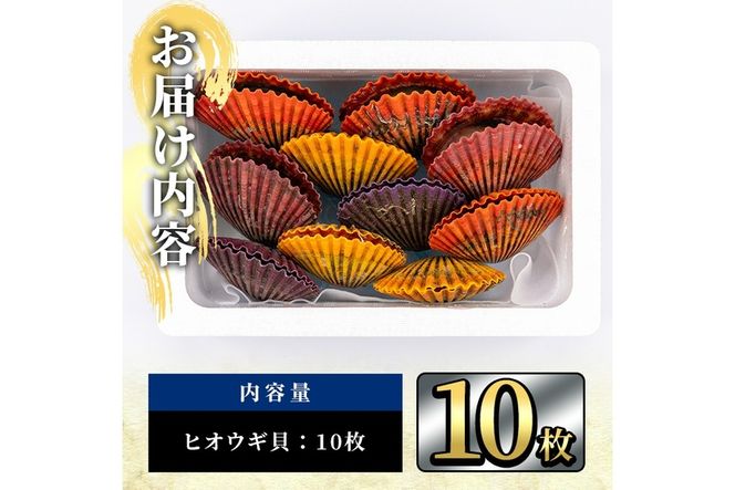 ヒオウギ貝 (10枚) 魚介 貝 ヒオウギ貝 ひおうぎ貝 酒蒸し 網焼き バター焼き バーベキュー 冷蔵 海の直売所 大分県 佐伯市【AS119】【海べ (株)】
