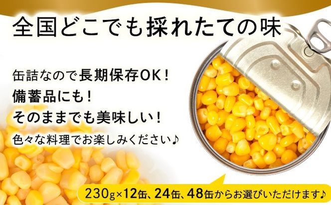 北海道 自然甘 ホールコーン 7号 230g×48缶 スイートコーン コーン とうもろこし とうきび トウモロコシ 缶詰 国産 甘い 長期保存 備蓄 常温 クレードル 送料無料