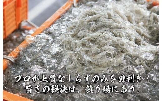 010B1757 【鮮度抜群】釜揚げしらす 800g【しらす シラス 小分け 400g×2P 国産 海鮮 魚介類 ご飯のお供 おつまみ しらす丼 冷凍】