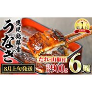 【0304349a-2608】＜8月上旬発送予定＞東串良町のうなぎ蒲焼(無頭)(6尾・計約900g・タレ、山椒付) うなぎ 高級 ウナギ 鰻 国産 蒲焼 蒲焼き たれ 鹿児島 ふるさと 人気 【アクアおおすみ】