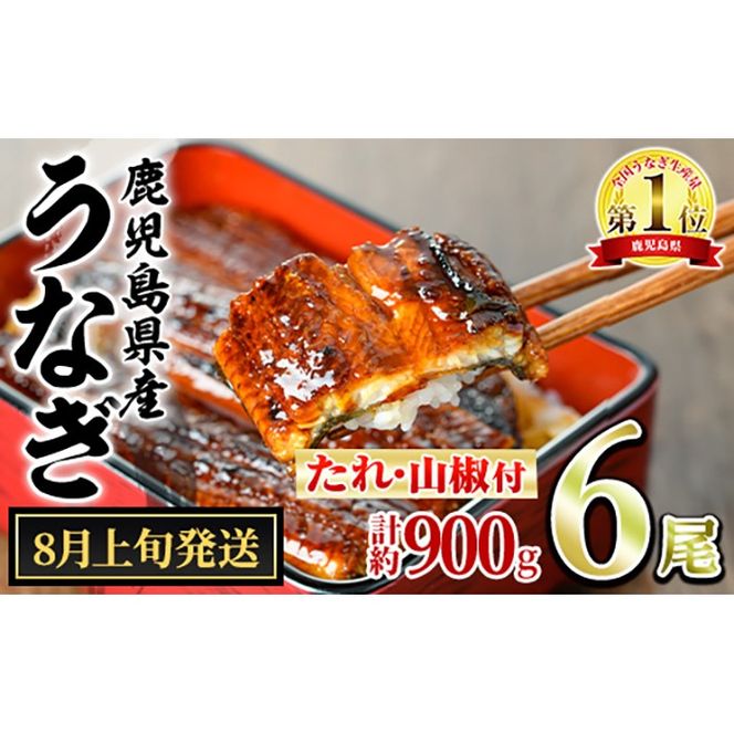 【0304349a-2608】＜8月上旬発送予定＞東串良町のうなぎ蒲焼(無頭)(6尾・計約900g・タレ、山椒付) うなぎ 高級 ウナギ 鰻 国産 蒲焼 蒲焼き たれ 鹿児島 ふるさと 人気 【アクアおおすみ】