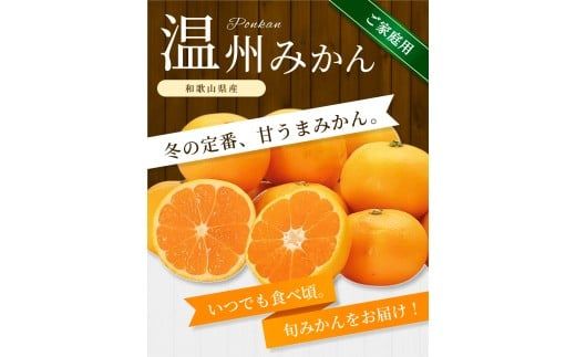 【ご家庭用】手選別 温州みかん 約10kg 和歌山県産 2S~2Lサイズ混合※2025年11月上旬～2026年2月中旬ごろに順次発送【mrmt031】