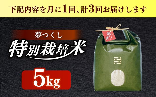 【全3回定期便】とくべつの中のとくべつ  特別栽培米  夢つくし 5kg 【築上町】 / itoshimacco / 株式会社やました[ABEX006]